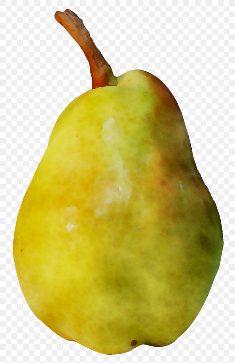 Pear Fahrenheit, PNG, 1132x1747px, Pear, Accessory Fruit, Fahrenheit, Food, Fruit Download Free