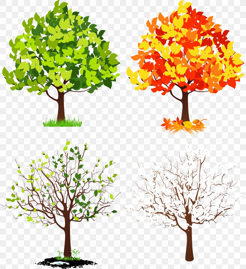 Four Seasons Hotels And Resorts Tree Clip Art, PNG, 5787x6317px, Four Seasons Hotels And Resorts, Autumn, Branch, Flower, Flowering Plant Download Free