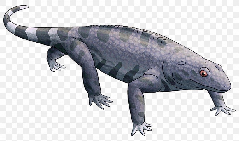 Salamander Reptile Lizard Animal Fauna, PNG, 1000x590px, Salamander, Amphibian, Animal, Animal Figure, Fauna Download Free