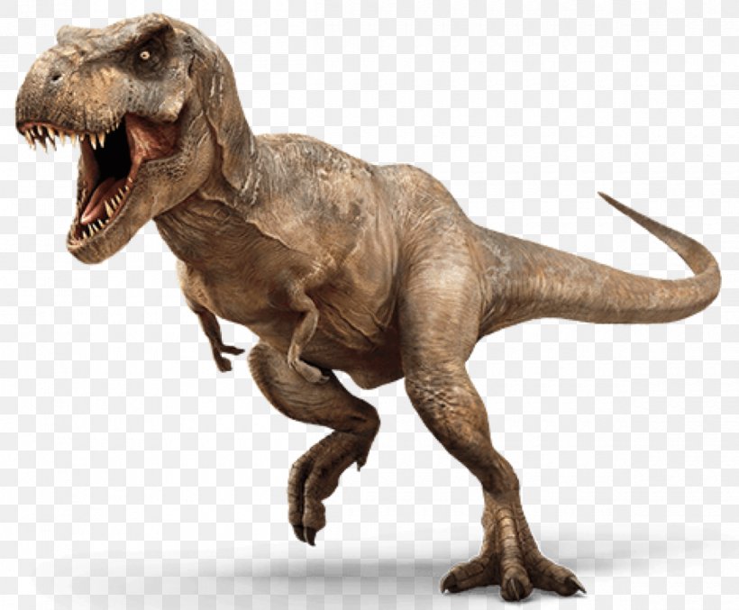 Tyrannosaurus Pachycephalosaurus Velociraptor Late Cretaceous Triceratops, PNG, 1200x991px, Tyrannosaurus, Apatosaurus, Cretaceous, Dinosaur, Extinction Download Free