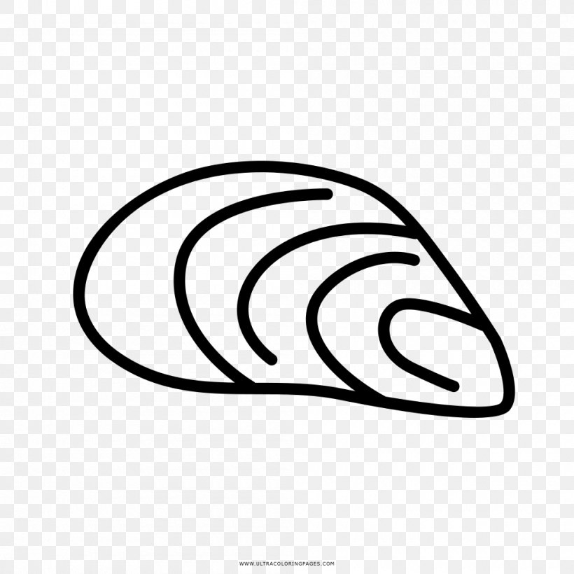 Coloring Book Drawing Bivalvia Seashell Clip Art, PNG, 1000x1000px, Coloring Book, Animal, Area, Artwork, Ausmalbild Download Free