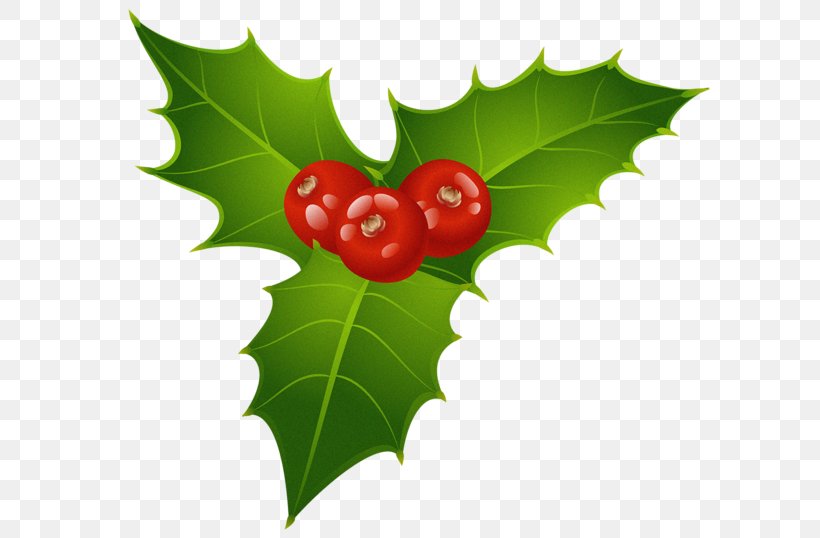 Mistletoe Christmas Holly Clip Art, PNG, 600x538px, Mistletoe, Aquifoliaceae, Aquifoliales, Christmas, Christmas Card Download Free