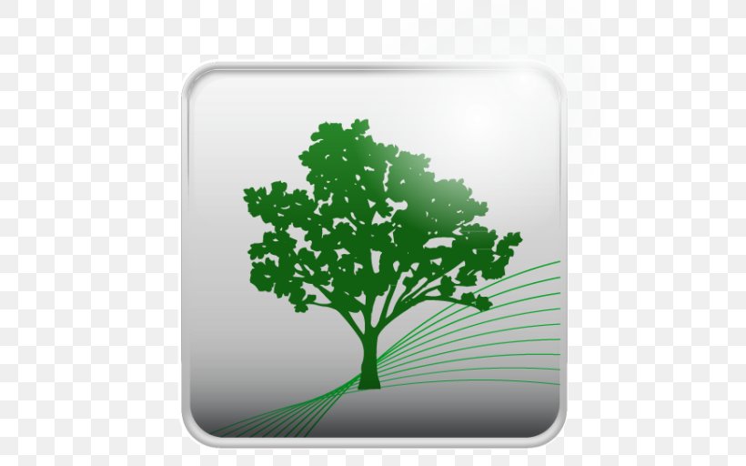 Tree Herb Leaf, PNG, 512x512px, Tree, Grass, Green, Herb, Leaf Download Free
