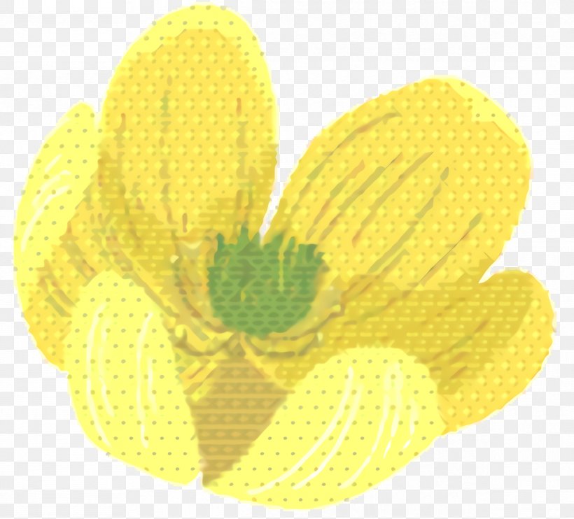 Yellow Background, PNG, 1192x1080px, Yellow, Flower, Narcissus, Petal, Plant Download Free