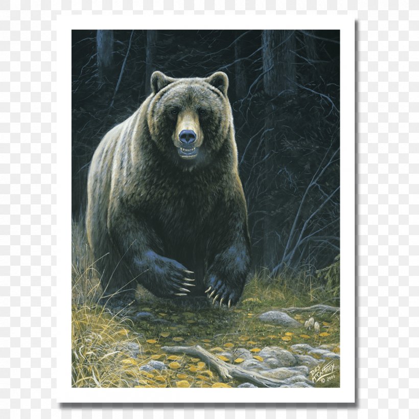 Grizzly Bear American Black Bear Giant Panda Bear Portraits, PNG, 1200x1200px, Grizzly Bear, American Black Bear, Animal, Art, Artist Download Free