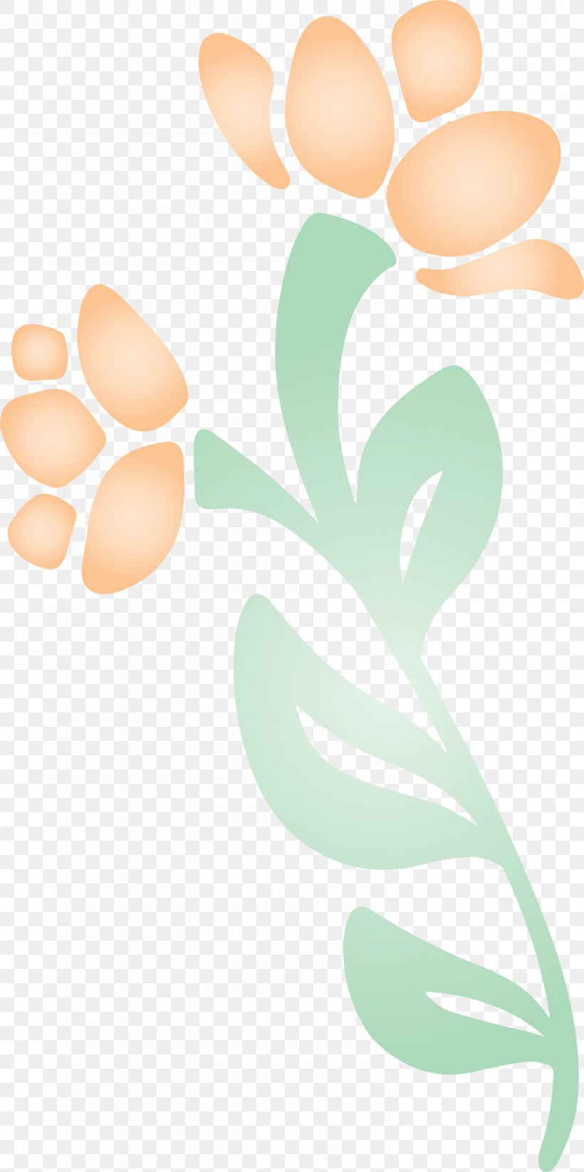 Petal Meter Orange S.a., PNG, 1495x3000px, Petal, Meter, Orange Sa Download Free