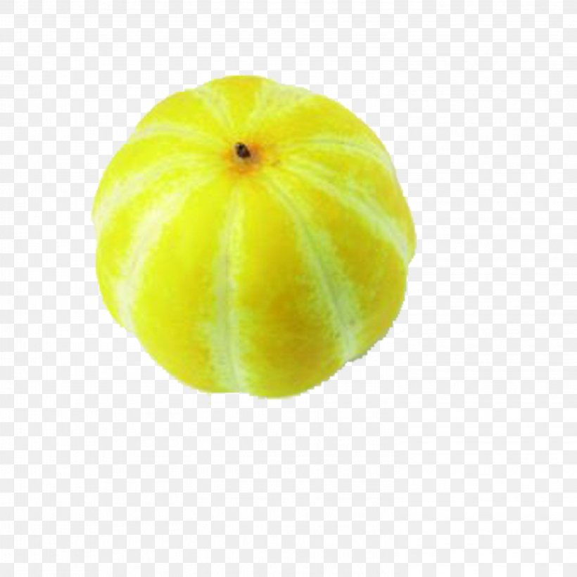 Citron Lemon Cucurbita Melon, PNG, 2953x2953px, Citron, Citric Acid, Citrus, Cucumber Gourd And Melon Family, Cucurbita Download Free