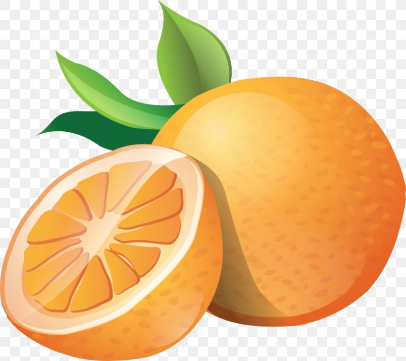 Clip Art Orange Openclipart Download, PNG, 850x756px, Orange, Bitter Orange, Chenpi, Citric Acid, Citrus Download Free