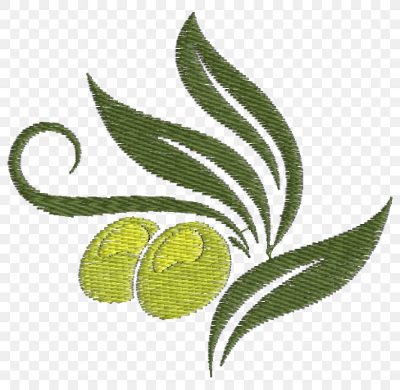 Olive Oil Mediterranean Cuisine Vector Graphics Greek Cuisine, PNG, 800x800px, Olive, Branch, Drawing, Food, Fruit Download Free