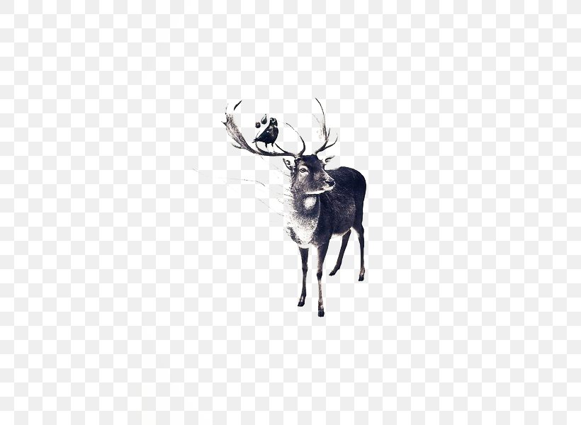 Reindeer Drawing Illustration, PNG, 424x600px, Deer, Antler, Art, Artist, Designer Download Free