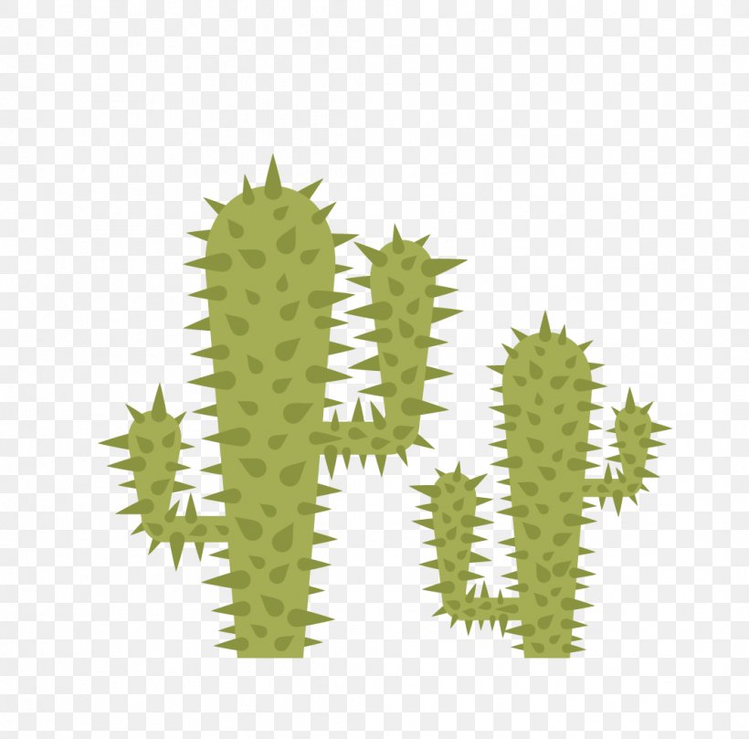 Cactaceae Thorns, Spines, And Prickles Euclidean Vector, PNG, 1061x1048px, Cactaceae, Cactus, Drawing, Flowering Plant, Grass Download Free