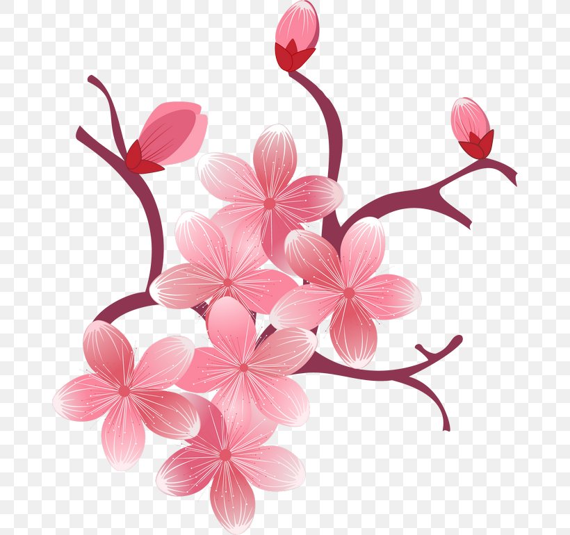 Desktop Wallpaper Cherry Blossom IPhone 7 Clip Art, PNG, 670x770px, Blossom, Branch, Cherry, Cherry Blossom, Floral Design Download Free