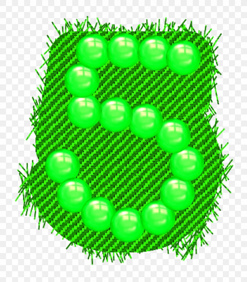 Green, PNG, 834x952px, Green, Grass, Organism, Sphere Download Free