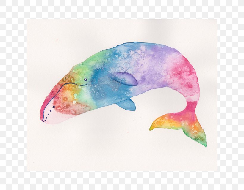 Marine Mammal Watercolor Painting Printmaking Giclée, PNG, 640x640px, Marine Mammal, Animal, Art, Beak, Beluga Whale Download Free