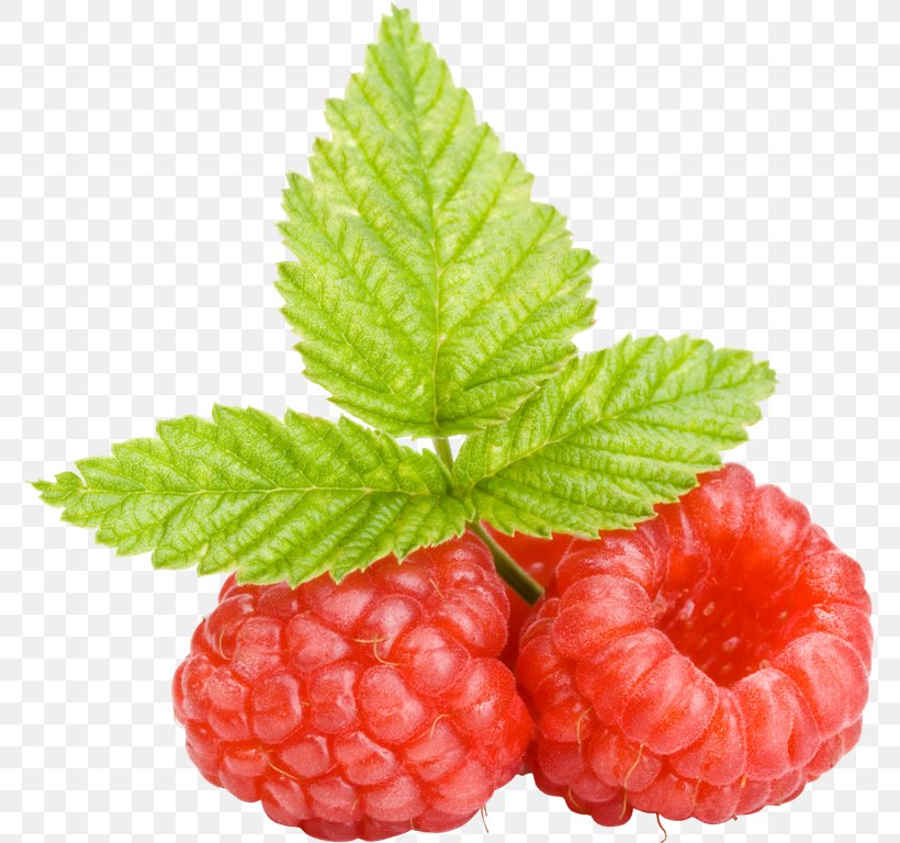 Raspberry Cloudberry Clip Art, PNG, 775x768px, Raspberry, Auglis, Berry, Blackberry, Boysenberry Download Free