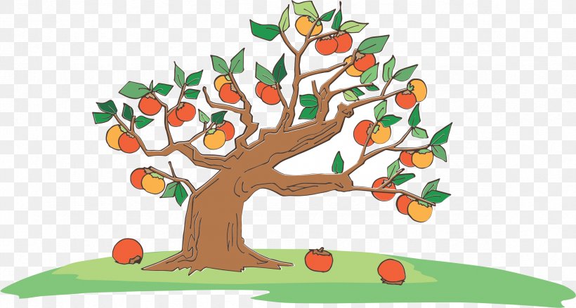 Clip Art Illustration Japanese Persimmon Openclipart, PNG, 2352x1262px, Persimmon, Arbor Day, Art, Botany, Branch Download Free