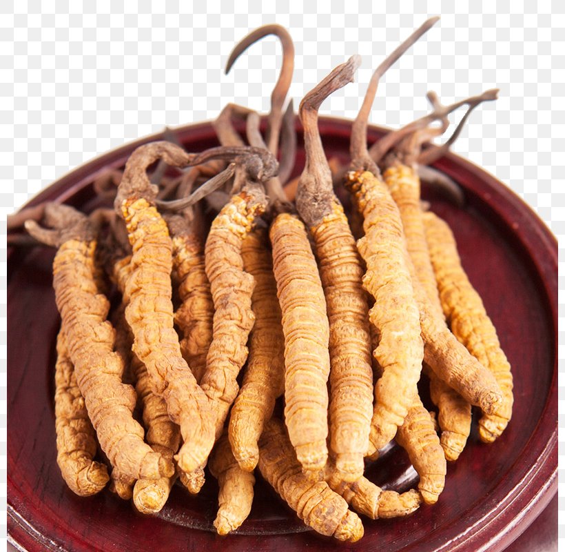 Nagqu Yushu Tibetan Autonomous Prefecture Tibetan Plateau Caterpillar Fungus Goods, PNG, 800x800px, Nagqu, Animal Sauvage, Animal Source Foods, Caterpillar Fungus, Customer Download Free