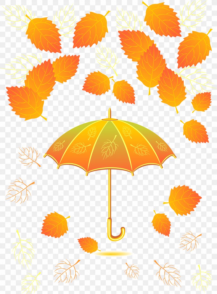 Autumn Umbrella Leaf Designer, PNG, 1903x2582px, Autumn, Color, Creativity, Designer, Leaf Download Free