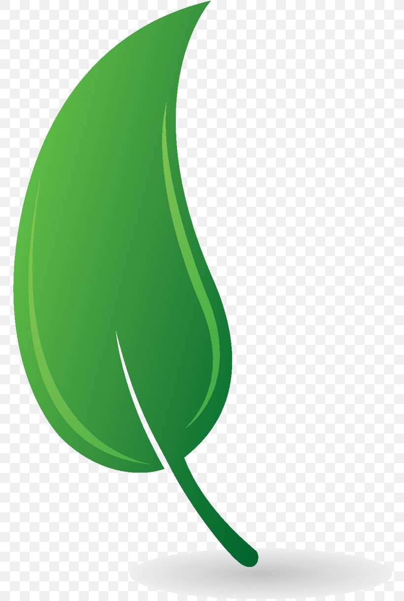 Clip Art Product Design Leaf, PNG, 785x1220px, Leaf, Green, Logo, Plant Download Free