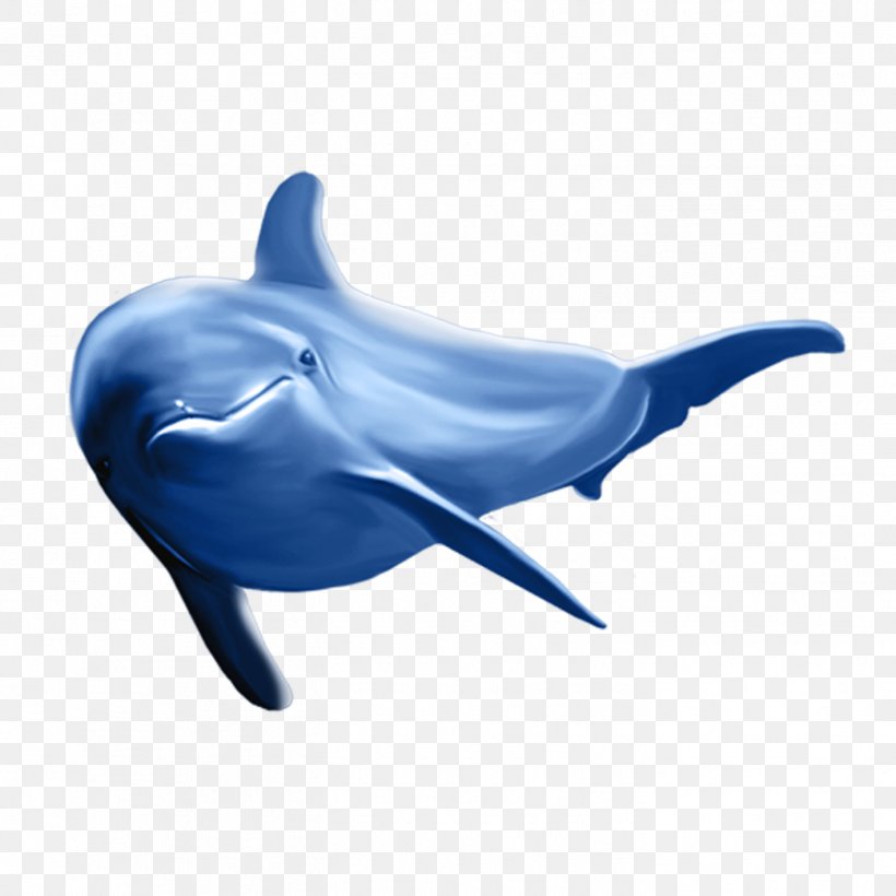 Common Bottlenose Dolphin Tucuxi Dolphin, Dolphin River Dolphin, PNG, 1417x1417px, Common Bottlenose Dolphin, Blue, Cartoon, Cetacea, Cobalt Blue Download Free