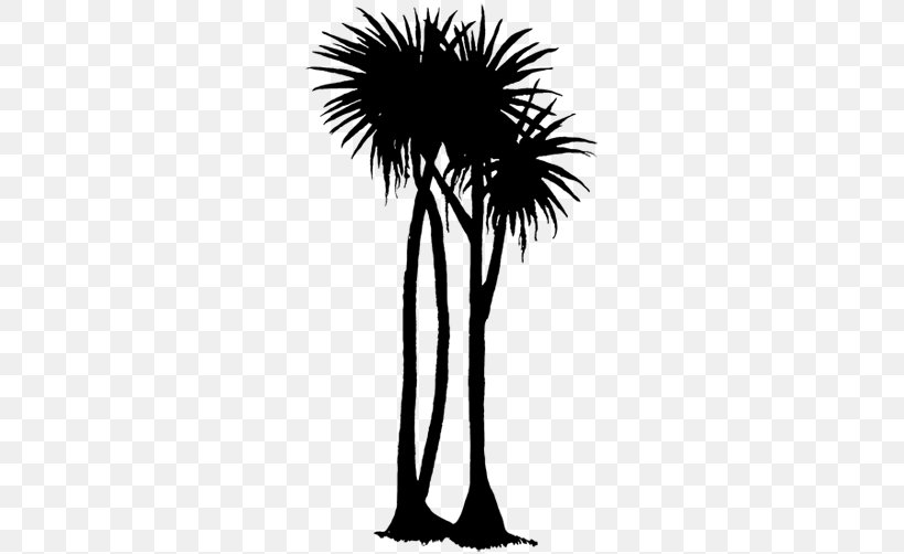 Asian Palmyra Palm Date Palm Flower Palm Trees Plant Stem, PNG, 750x502px, Asian Palmyra Palm, Arecales, Attalea Speciosa, Black M, Blackandwhite Download Free