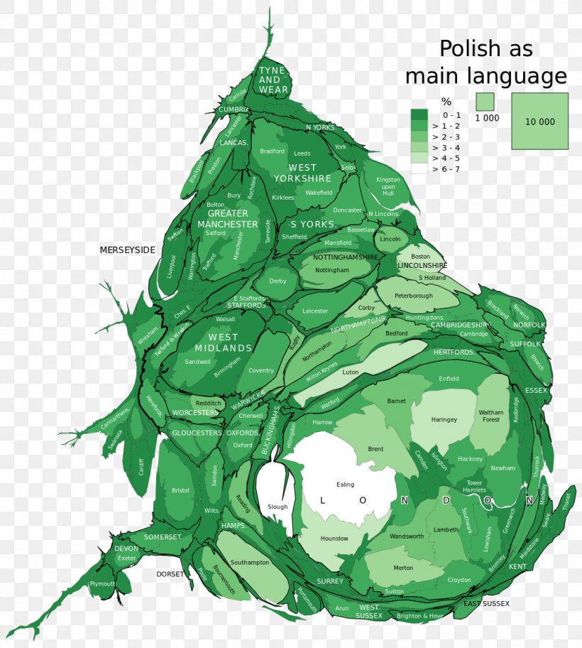 Migrations From Poland Since EU Accession Poles In The United Kingdom English Reformation, PNG, 1067x1188px, Poland, England, English Reformation, Fictional Character, Grass Download Free