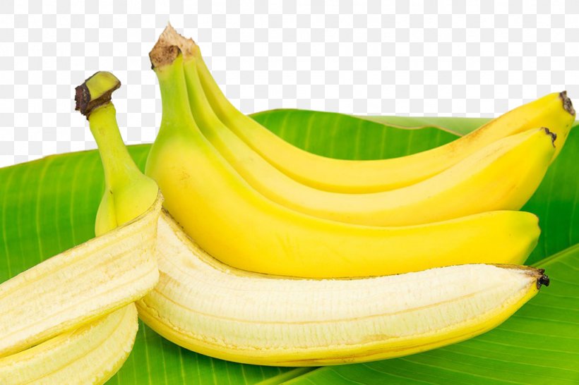 Saba Banana Cooking Banana Musa Xd7 Paradisiaca Breakfast, PNG, 1024x683px, Saba Banana, Banana, Banana Family, Banana Leaf, Banana Peel Download Free