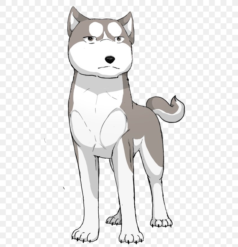 Siberian Husky Whiskers Dog Breed Cat, PNG, 800x850px, Siberian Husky, Breed, Carnivoran, Cartoon, Cat Download Free