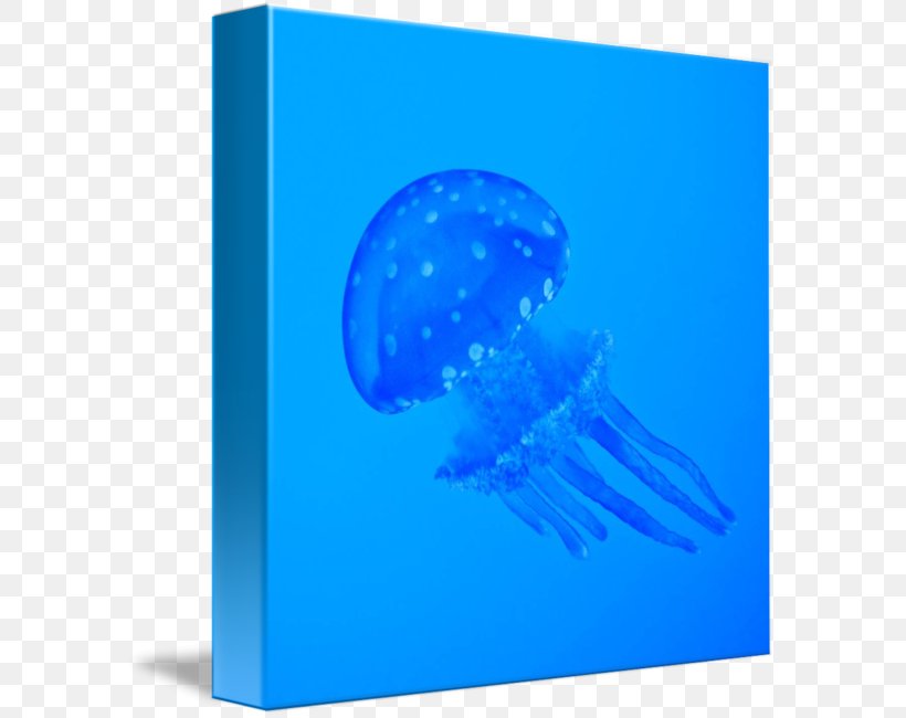 Jellyfish Font, PNG, 589x650px, Jellyfish, Aqua, Blue, Cnidaria, Cobalt Blue Download Free