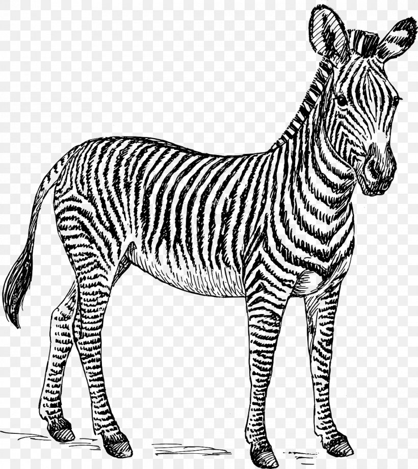 Zebra Black And White Free Content Clip Art, PNG, 1140x1280px, Zebra, Animal Figure, Animal Print, Black And White, Coloring Book Download Free