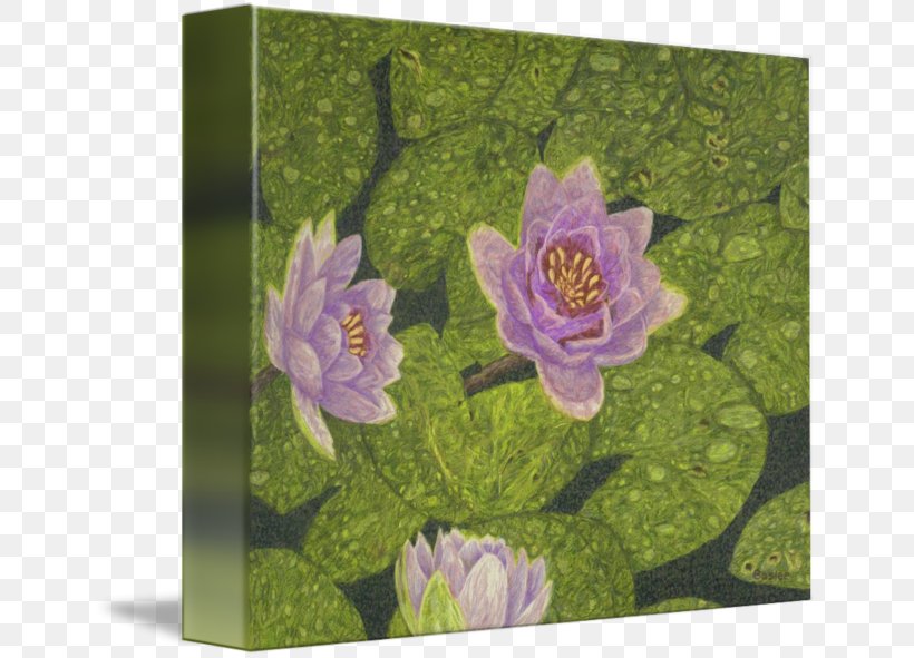 Fine Art Painting Mural Canvas, PNG, 650x591px, Art, Canvas, Enchanting Lily, Fine Art, Flower Download Free