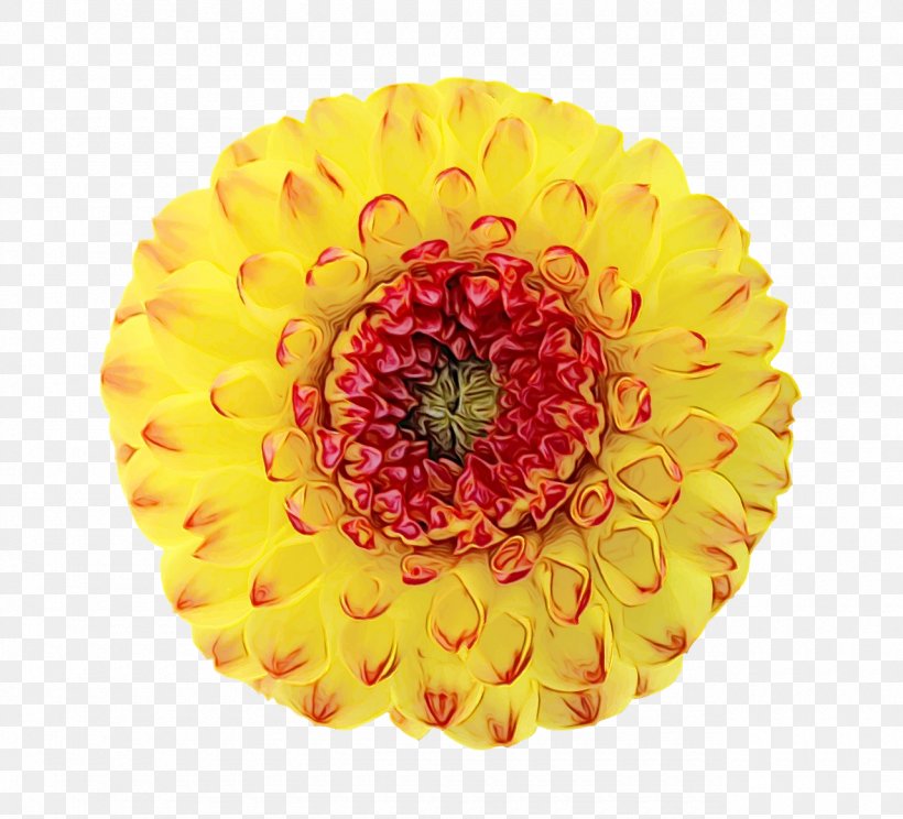 Flowers Background, PNG, 1280x1162px, Yellow, Artificial Flower, Blossom, Cut Flowers, Dahlia Download Free