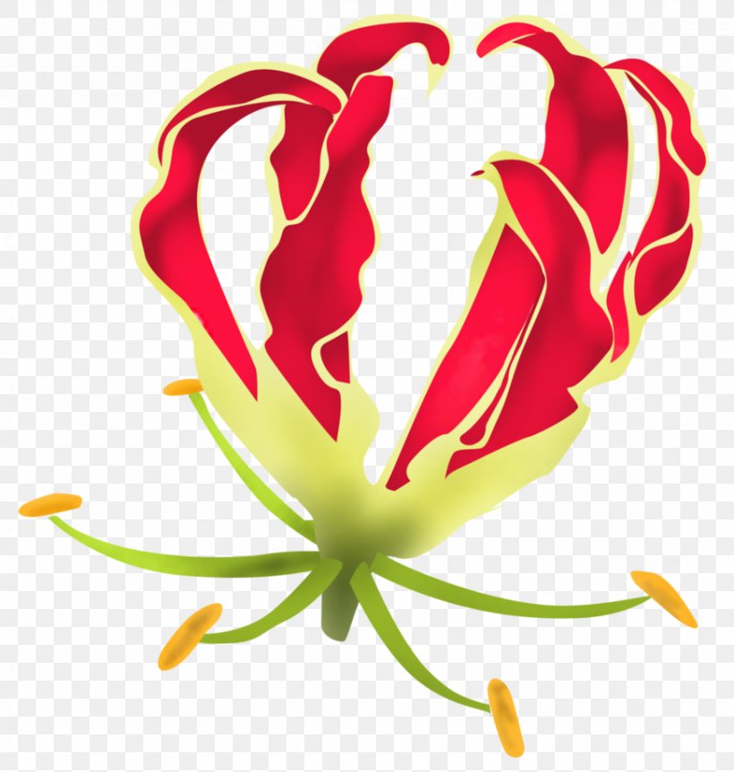 Gloriosa Superba Lilium Flower DeviantArt, PNG, 872x917px, Lilium, Cut Flowers, Deviantart, Digital Art, Flora Download Free