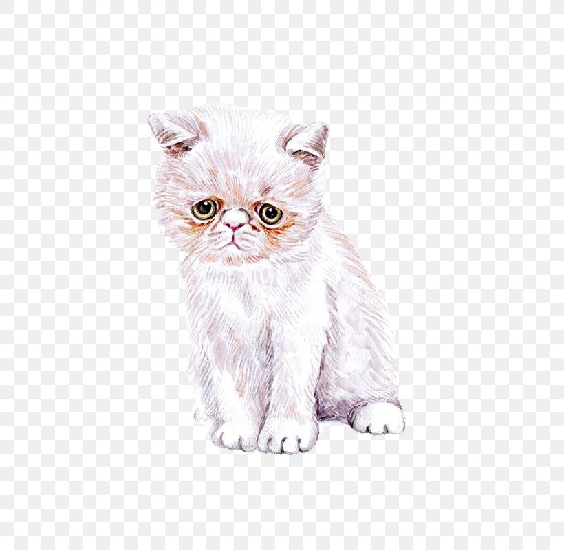 Cat Kitten Watercolor Painting Cuteness, PNG, 800x800px, Cat, Carnivoran, Cat Like Mammal, Cuteness, Domestic Short Haired Cat Download Free