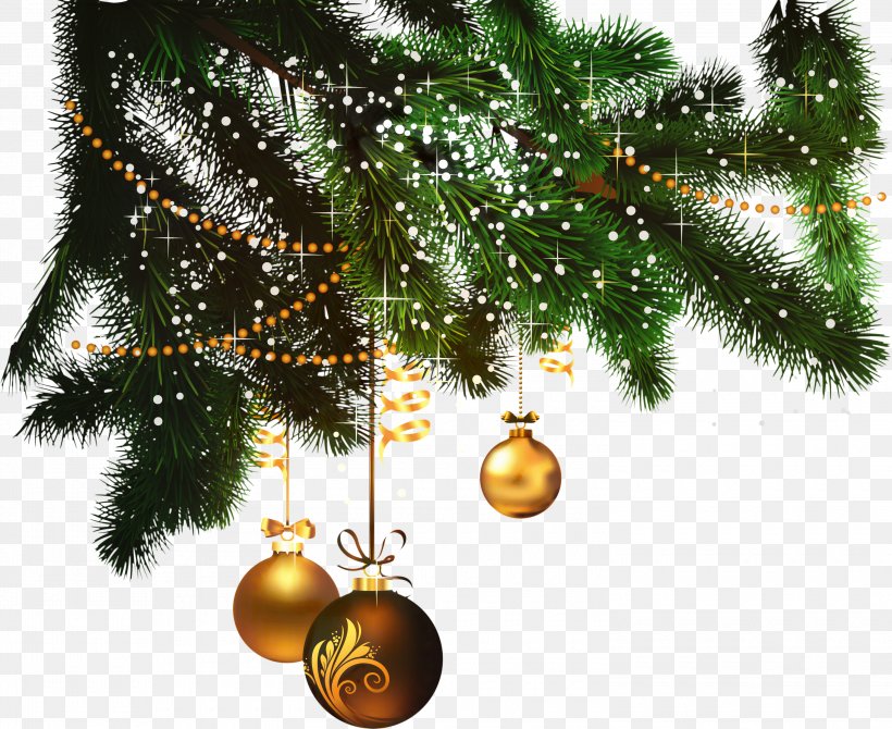 Christmas Lights Cartoon, PNG, 3000x2454px, Christmas Day, American Larch, Branch, Christmas, Christmas Decoration Download Free