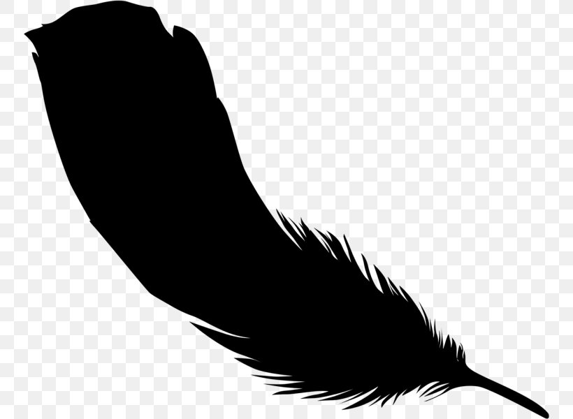 Clip Art Beak Feather Silhouette Black M, PNG, 752x600px, Beak, Animal Product, Bird, Black M, Blackandwhite Download Free