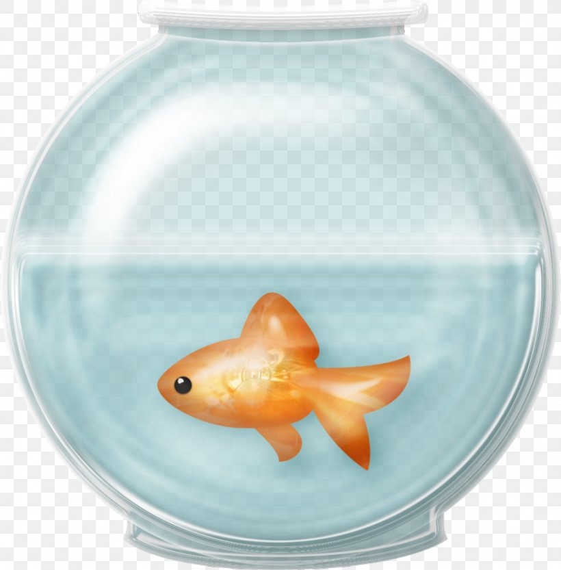 Goldfish Aquarium Clip Art, PNG, 856x870px, Goldfish, Aquarium, Bowl, Feeder Fish, Fish Download Free