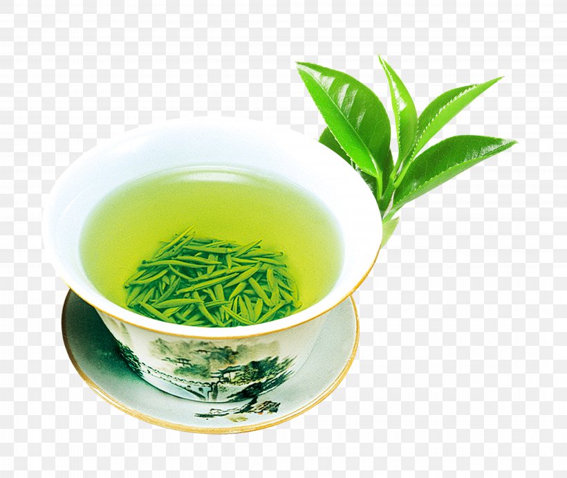 Green Tea Flowering Tea Tea Culture, PNG, 4260x3592px, Tea, Advertising, Alternative Medicine, Assam Tea, Bancha Download Free