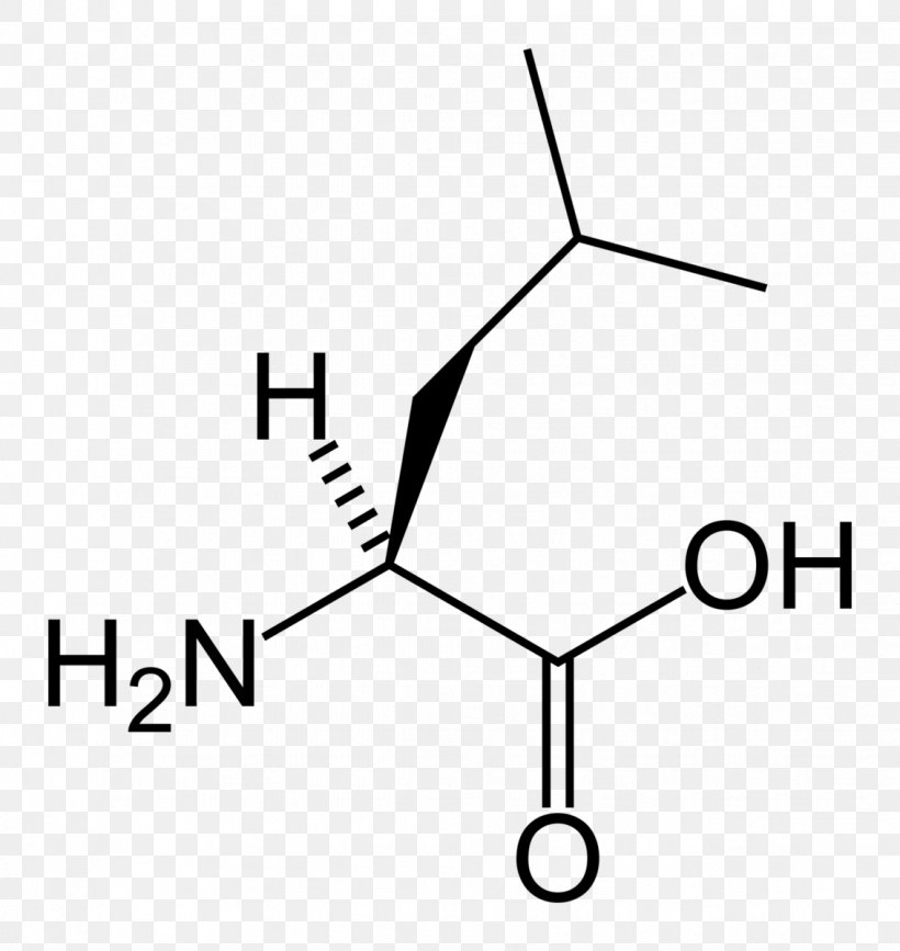Leucine Branched-chain Amino Acid Proteinogenic Amino Acid Valine, PNG, 1133x1198px, Leucine, Amino Acid, Area, Black And White, Branchedchain Amino Acid Download Free