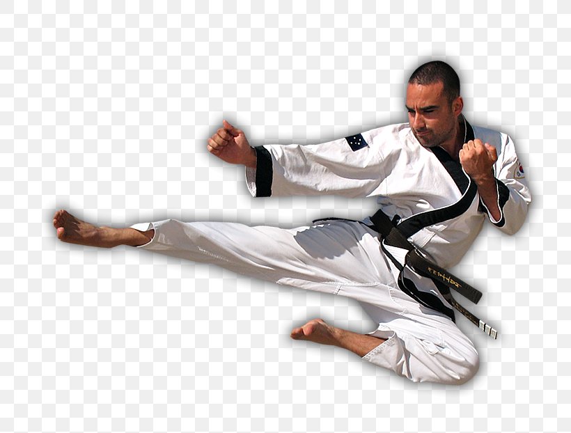 Tang Soo Do Karate Gold Coast Varsity College Varsity Lakes Community Limited Varsity Lakes Travel, PNG, 743x622px, Varsity College, Arm, Australia, Chuck Norris, Dojo Download Free