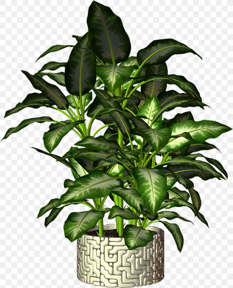 Flowerpot Plant, PNG, 863x1063px, Flowerpot, Evergreen, Evergreen Marine Corp, Houseplant, Leaf Download Free