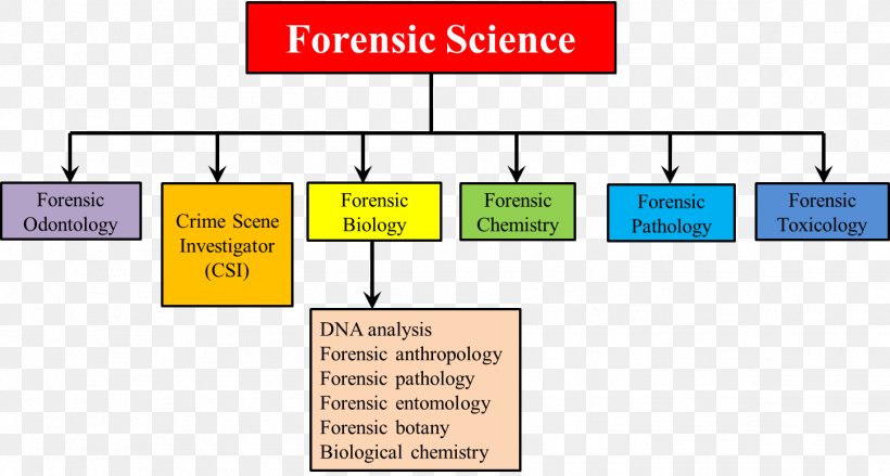 Forensic Science Forensic Pathology Forensic Dentistry Forensic Chemistry, PNG, 1449x776px, Forensic Science, Area, Brand, Chart, Computer Forensics Download Free