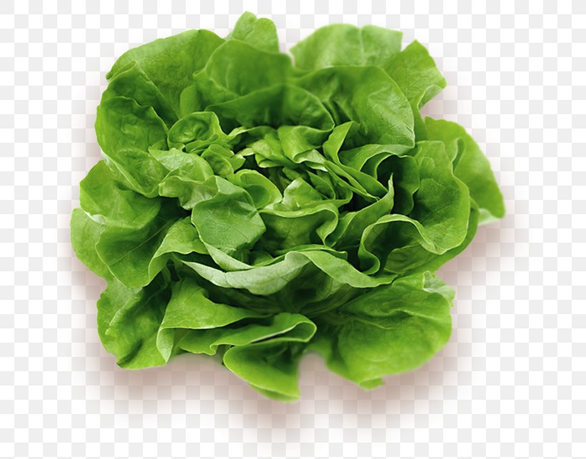 Lettuce Leaf Vegetable Food Wrap, PNG, 679x643px, Lettuce, Chard, Collard Greens, Cruciferous Vegetables, Determinate Cultivar Download Free