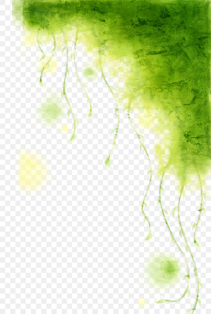 Vine Watercolor Painting Green, PNG, 2050x3050px, Vine, Branch, Convolvulaceae, Grass, Green Download Free