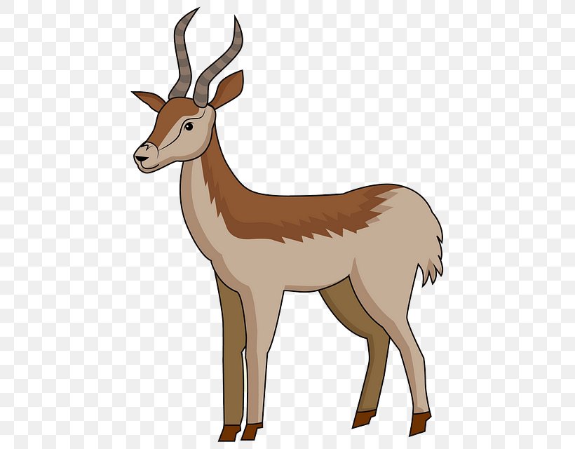 Antelope Wildlife Deer Gazelle Cow-goat Family, PNG, 475x640px, Antelope, Cowgoat Family, Deer, Gazelle, Pronghorn Download Free