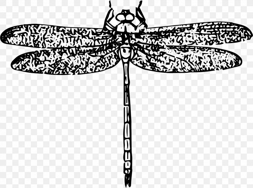 Beetle, PNG, 2323x1736px, Beetle, Artwork, Black And White, Cartoon, Dragonfly Download Free
