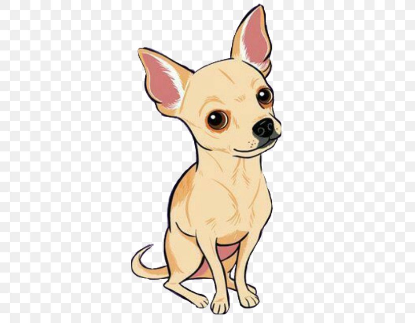 Chihuahua Puppy Dog Breed Companion Dog Toy Dog, PNG, 604x640px, Chihuahua, Breed, Carnivoran, Clothing, Companion Dog Download Free