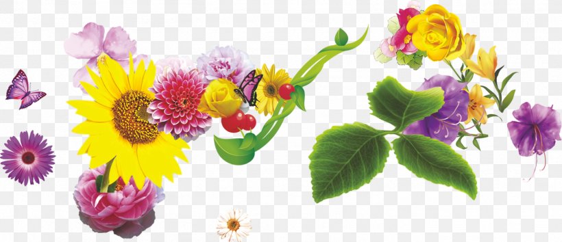 Floral Design Chrysanthemum Flower Chamomile, PNG, 1509x653px, Floral Design, Chamomile, Chrysanthemum, Cut Flowers, Designer Download Free
