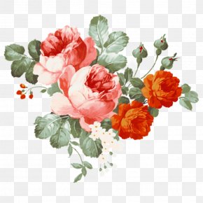 Painting - Watercolor: Flowers Flower Painting Watercolor Painting Flower Pictures PNG