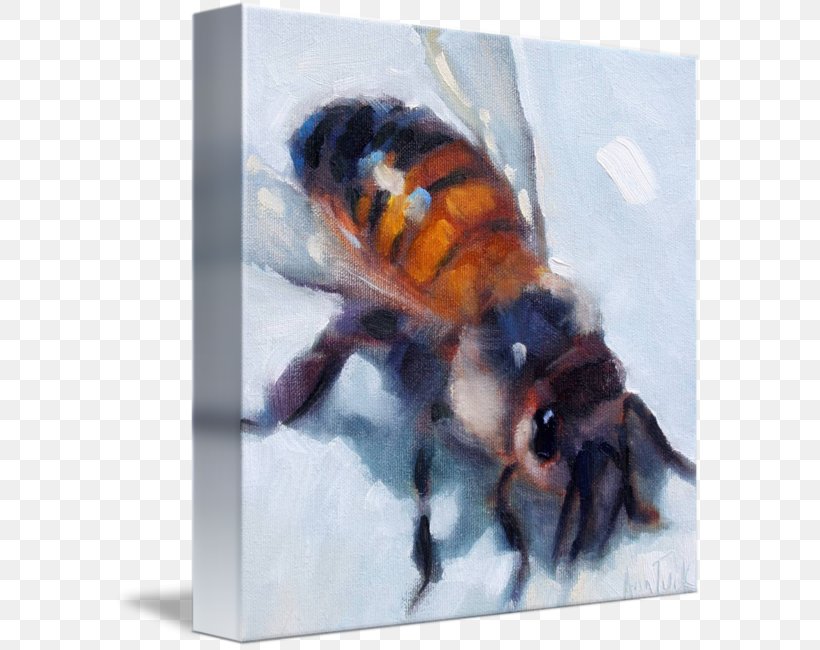 Insect Bee Gallery Wrap Canvas Pollinator, PNG, 589x650px, Insect, Art, Arthropod, Bee, Canvas Download Free
